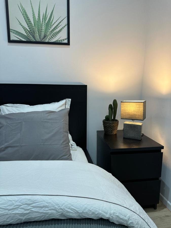 Nouveau Studio Dans Le Centre De Bruxelles Exteriör bild